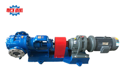 高粘度转子泵-NYP凸轮转子泵